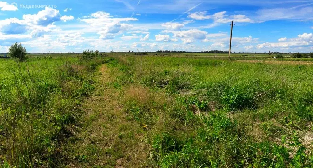 Участок в деревня Кашино, Полевая улица, 25 (20 м) - Фото 1