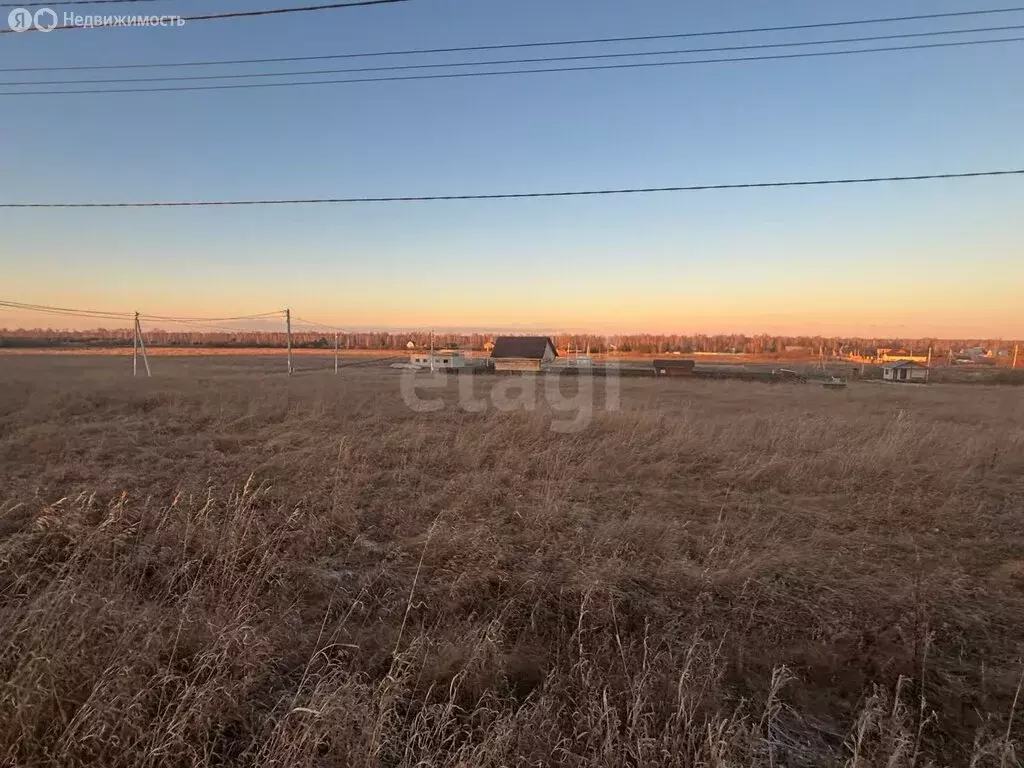 Участок в Тюменский муниципальный округ, деревня Речкина, Яблоневый ... - Фото 2