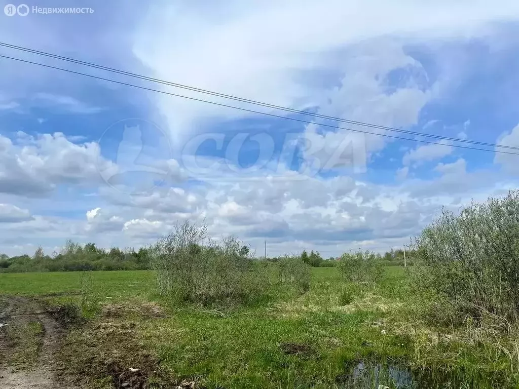 Участок в Тобольский район, Башковское сельское поселение, деревня ... - Фото 1