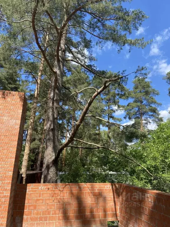 Коттедж в Санкт-Петербург пос. Лисий Нос, Песочная ул., 3к7 (349 м) - Фото 2