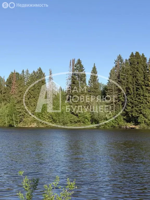 Дом в Добрянка, садовые участки Дружба, 401 (53.6 м) - Фото 2