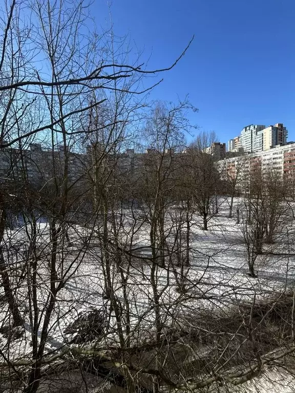 1-к кв. Санкт-Петербург Выборгское ш., 25 (33.0 м) - Фото 2