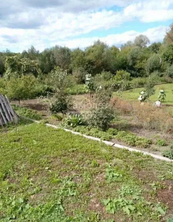 Участок в Калужская область, Сухиничи ул. Степана Разина, 21 (14.0 ... - Фото 2