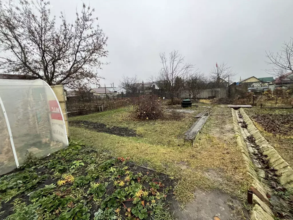 Участок в Ртищево, улица Льва Толстого, 71 (10 м) - Фото 2