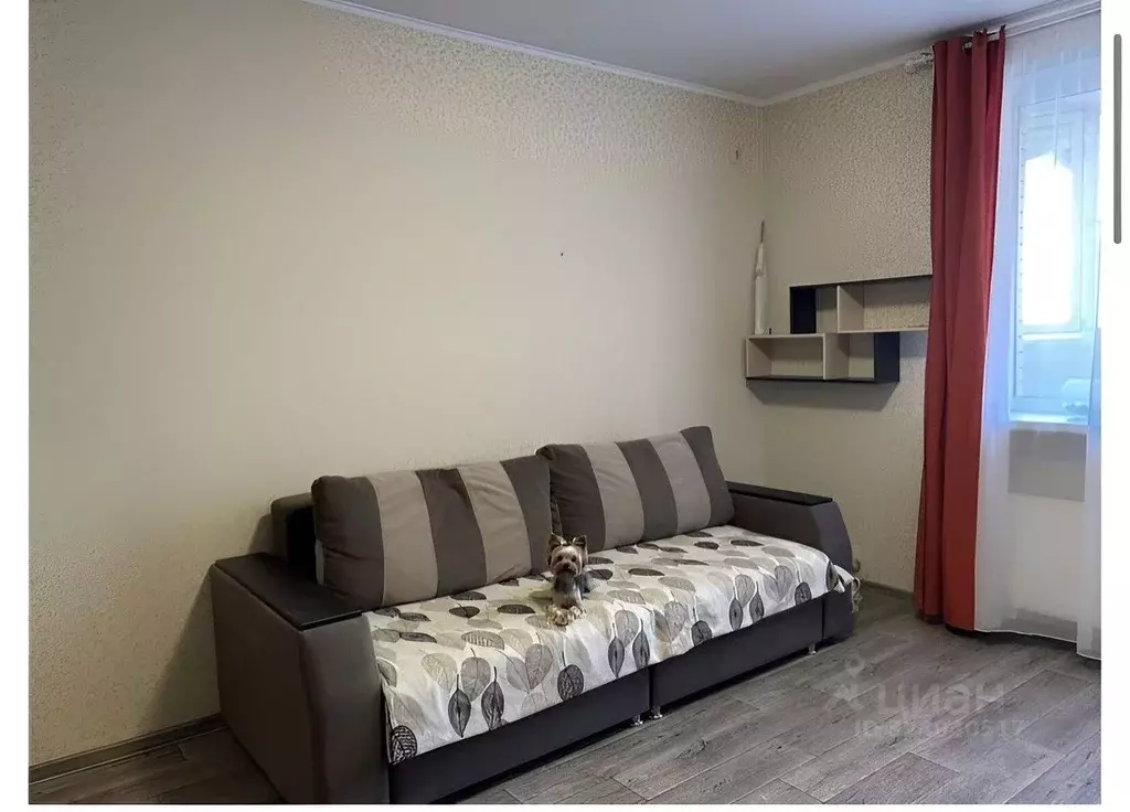 Студия Ростовская область, Ростов-на-Дону пер. Салютина, 2А (27.5 м) - Фото 1