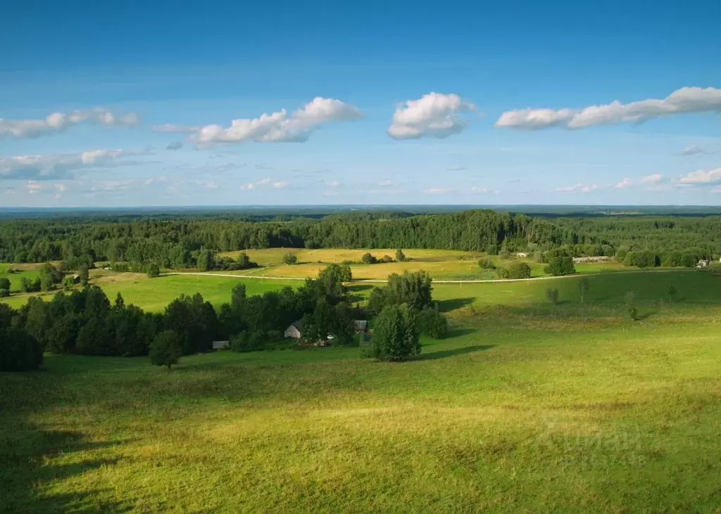 Участок в Пермский край, пос. Ильинский ул. Ленина, 4 (240.0 сот.) - Фото 0