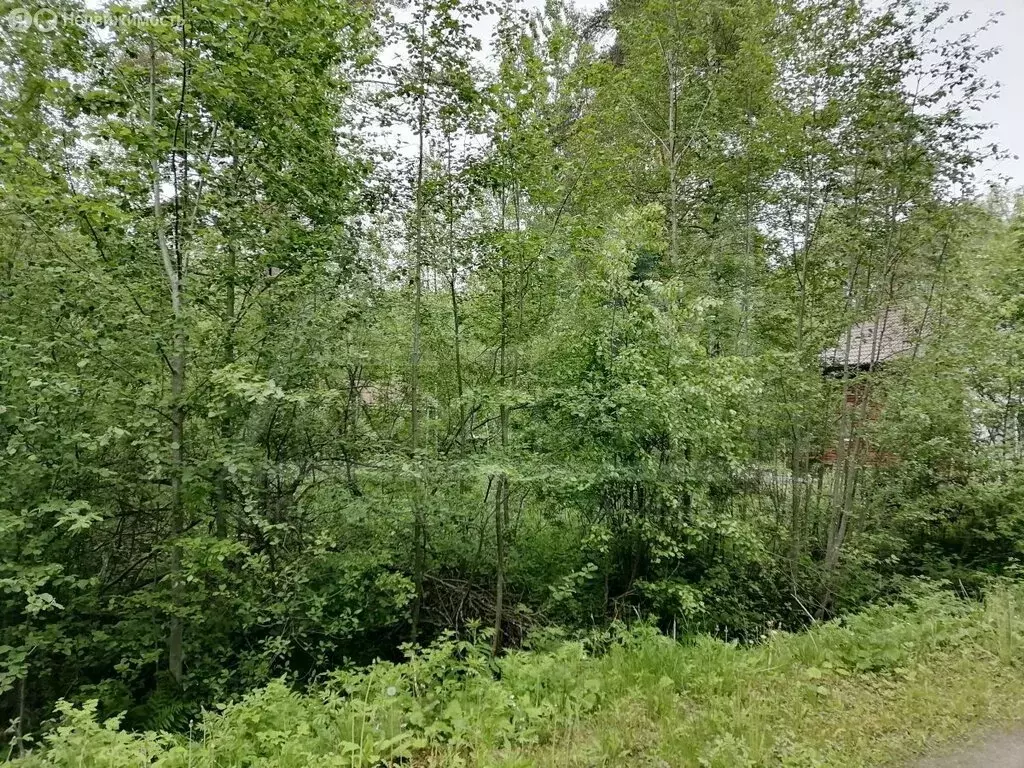 Участок в Ларионовское сельское поселение, садоводческое ... - Фото 1