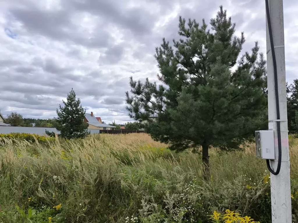 Участок в Московская область, Раменский муниципальный округ, с. Речицы ... - Фото 2