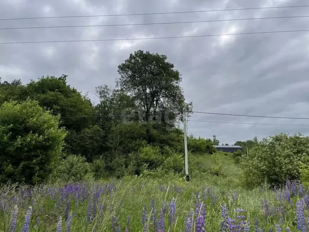 Участок в Смоленская область, Смоленский муниципальный округ, д. ... - Фото 1