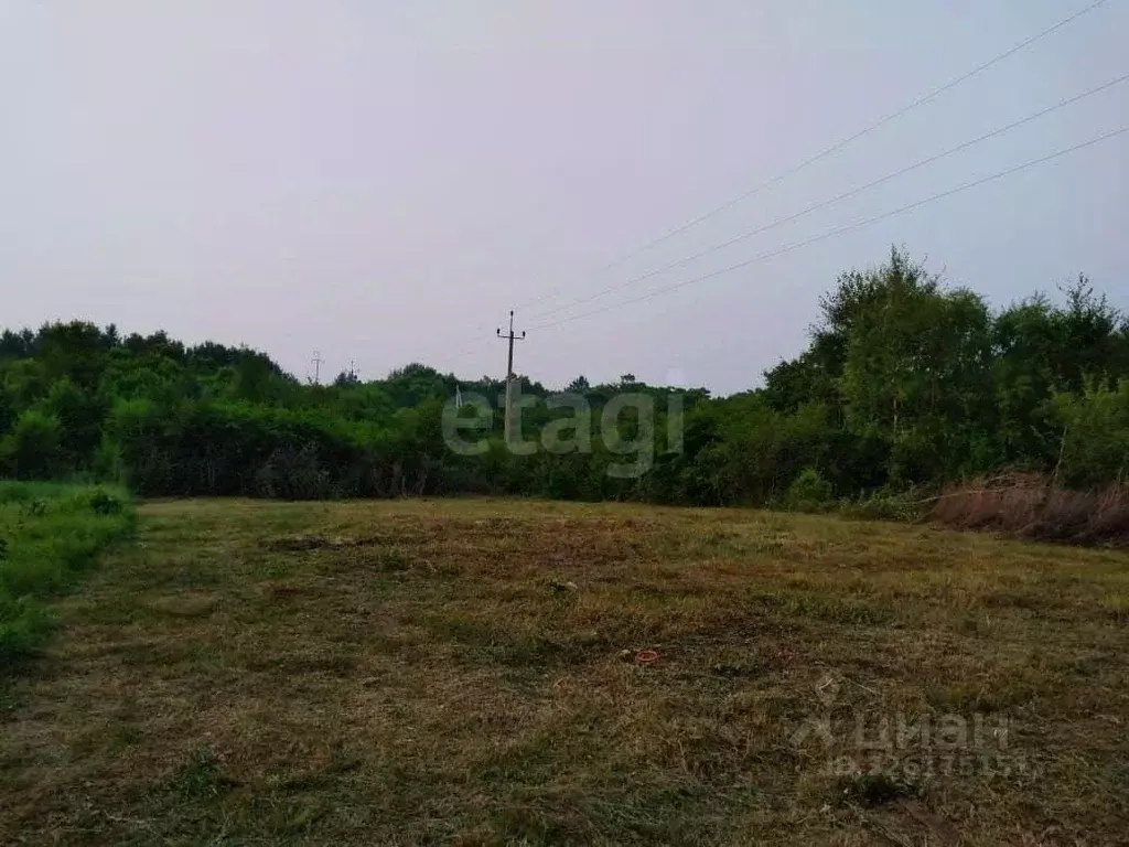 Участок в Амурская область, Благовещенск городской округ, пос. ... - Фото 1