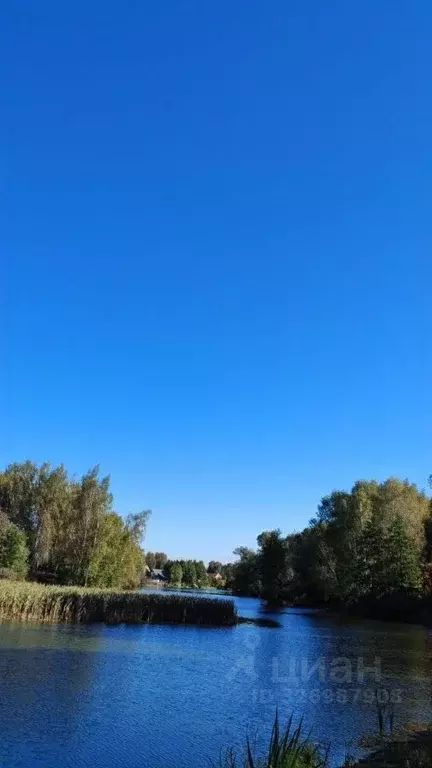 Участок в Московская область, Раменский муниципальный округ, ... - Фото 2