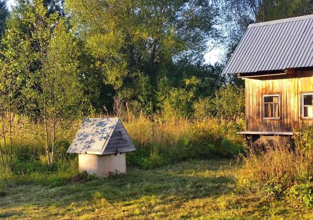 Дом в Тверская область, Рамешковский муниципальный округ  (45 м) - Фото 1