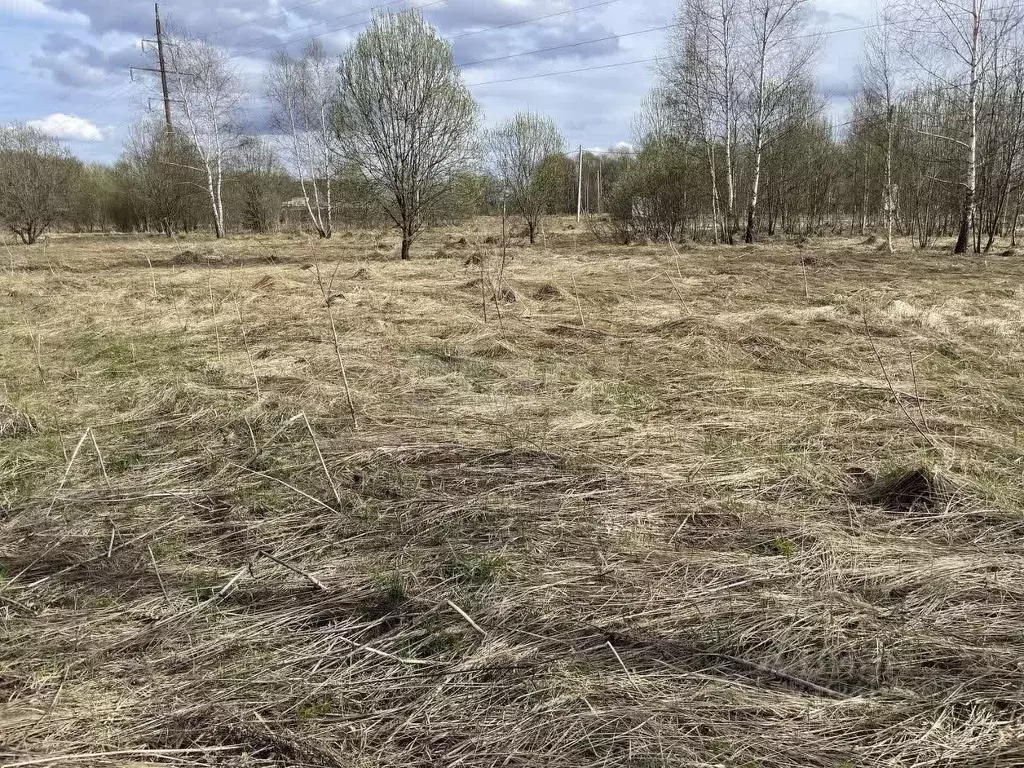 Участок в Московская область, Домодедово городской округ, с. Добрыниха ... - Фото 2