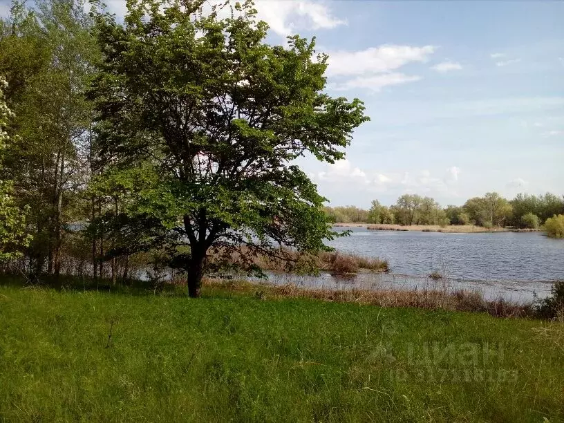 Участок в Саратовская область, Энгельсский район, Красноярское ... - Фото 1