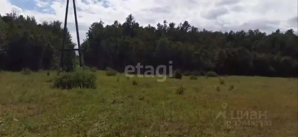 Участок в Забайкальский край, Читинский район, с. Преображенка ... - Фото 2