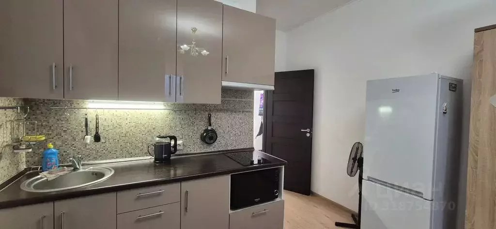 Студия Санкт-Петербург просп. Ветеранов, 169к3 (24.0 м) - Фото 1