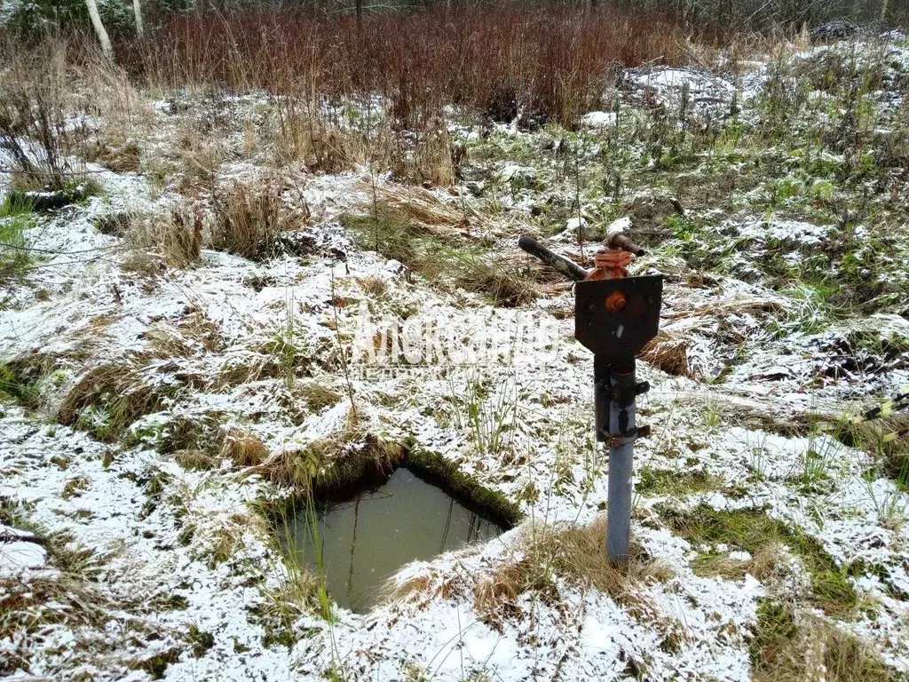 Участок в Ленинградская область, Приозерский район, Кузнечнинское ... - Фото 2