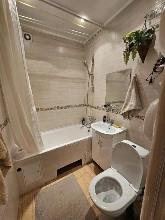 1-к кв. Новосибирская область, Новосибирск Академгородок мкр, ул. ... - Фото 2