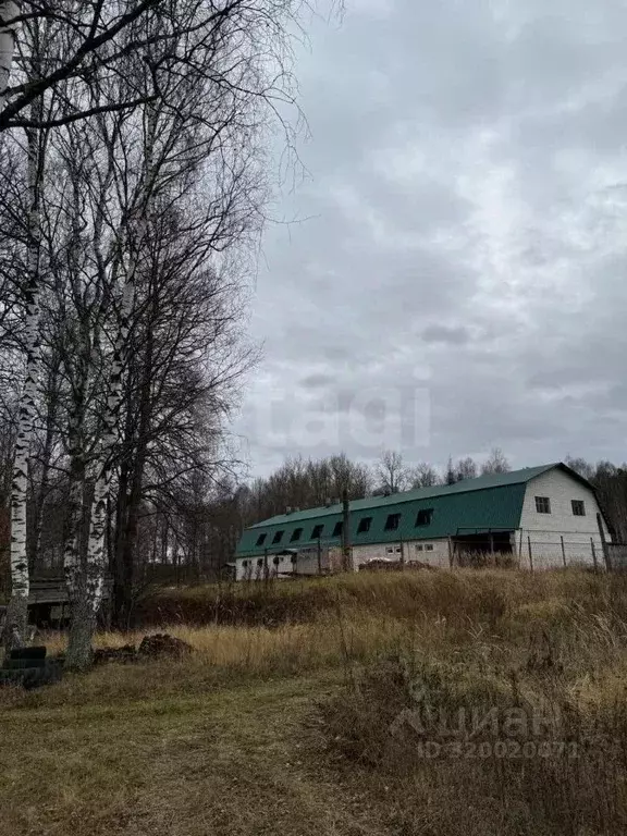 Склад в Калужская область, Кировский район, Буда с/пос, пос. ... - Фото 1