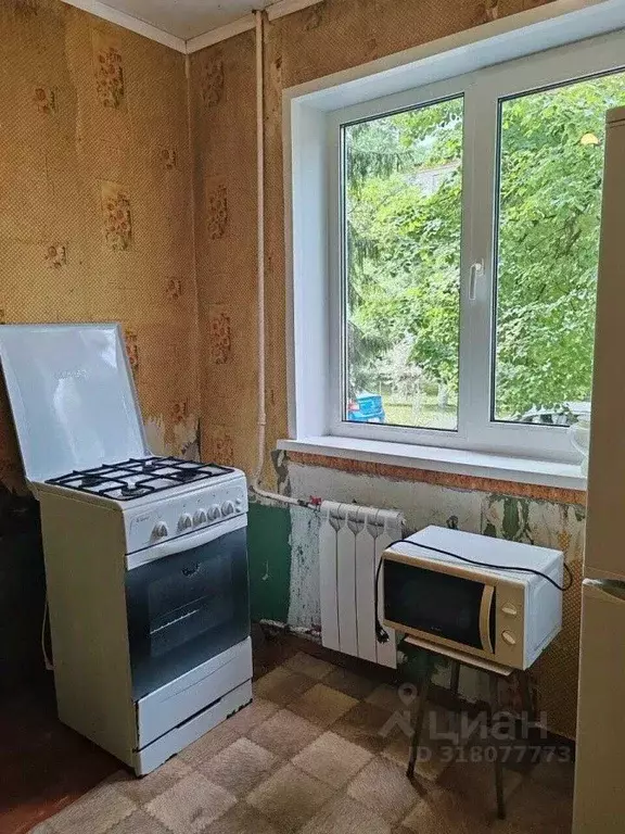 1-к кв. Орловская область, Мценск 1-й мкр, 11 (30.6 м) - Фото 1