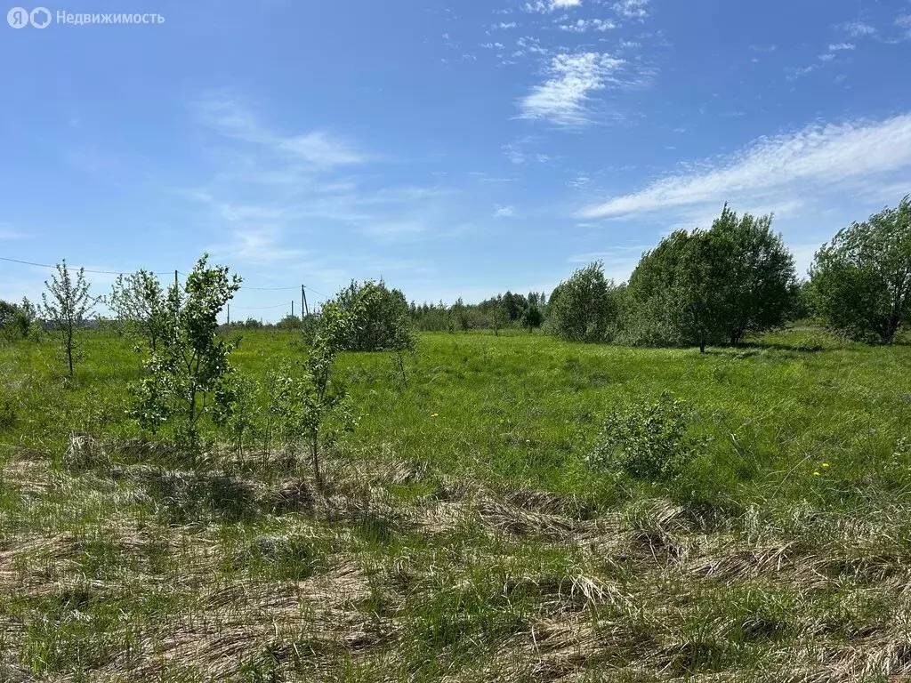 Участок в Александровский район, муниципальное образование ... - Фото 0