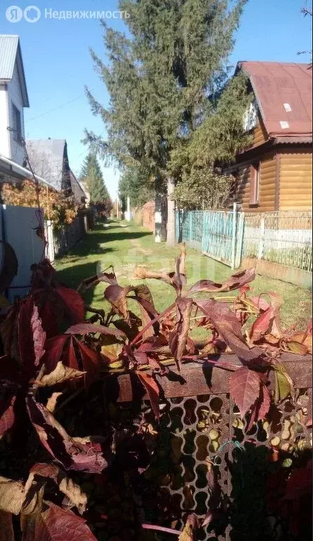 Дом в Новосибирская область, Коченёвский муниципальный район, СНТ ... - Фото 1