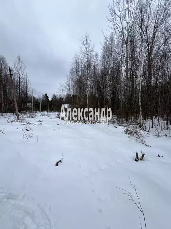 Участок в Ленинградская область, Выборгский район, Гончаровское с/пос, ... - Фото 0