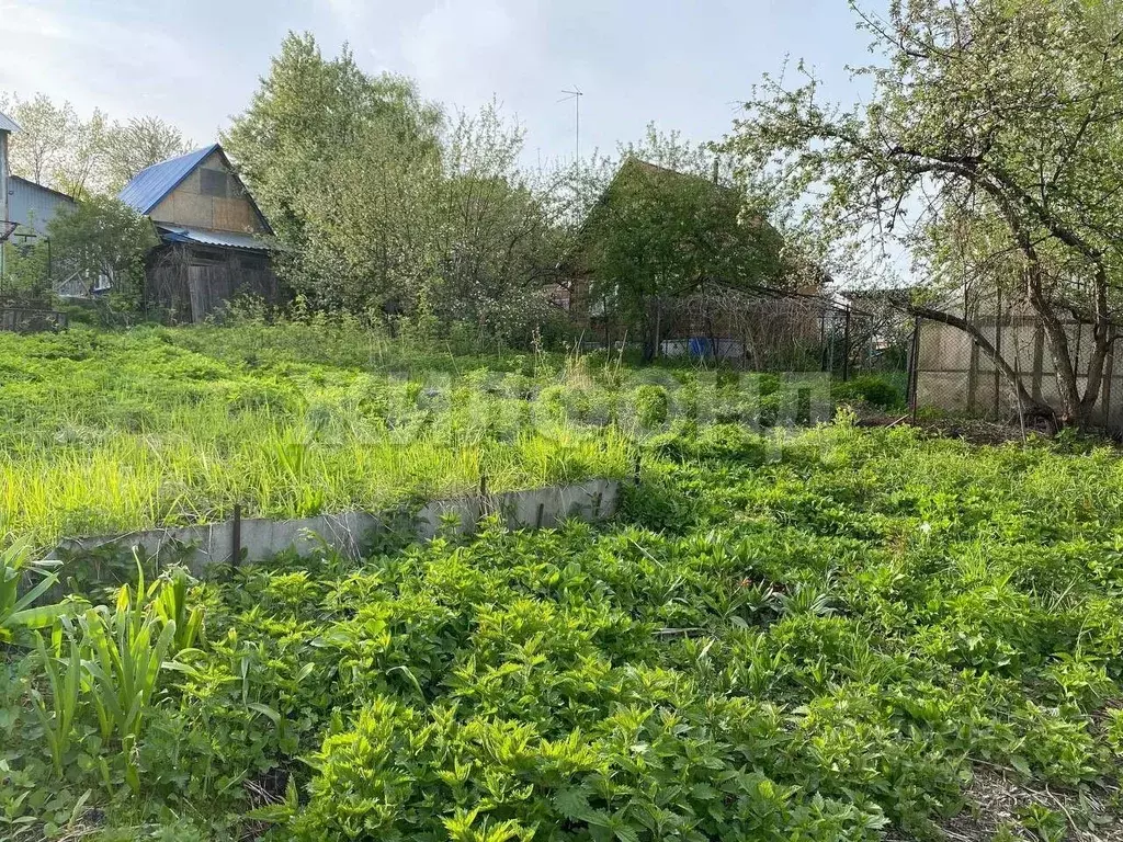 Дом в Новосибирская область, Новосибирск Рассвет-Октябрьский СНТ,  (10 ... - Фото 0