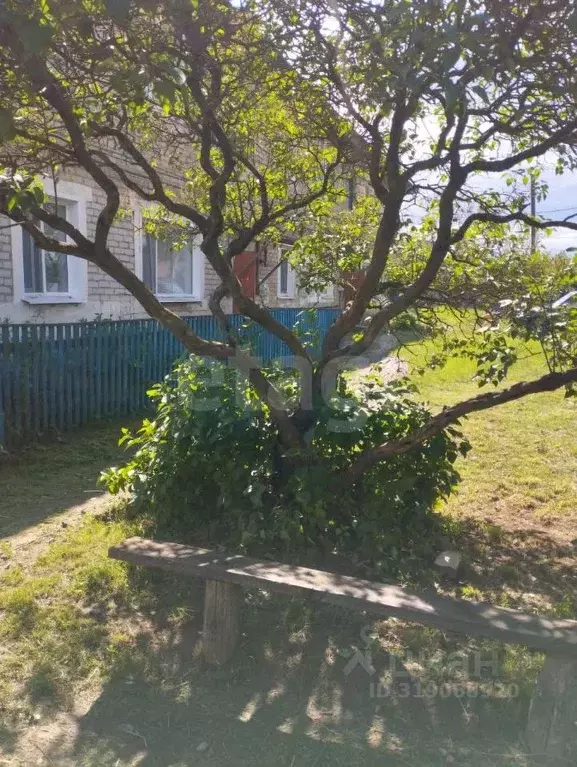 3-к кв. Брянская область, Брасовский район, Локоть рп ул. Вали Котика, ... - Фото 1