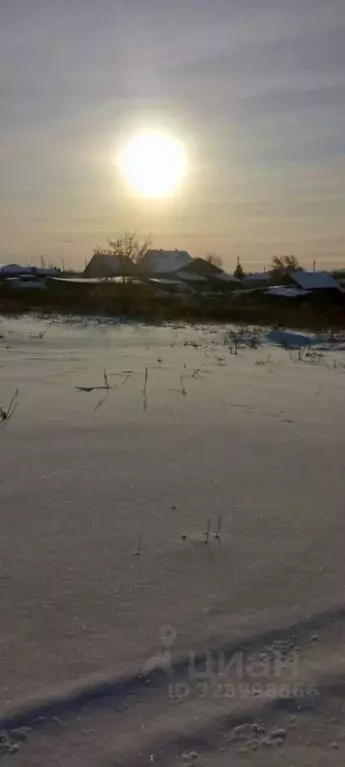 Участок в Свердловская область, Камышловский район, Зареченское с/пос, ... - Фото 1