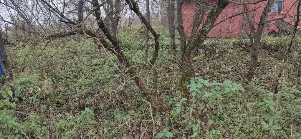 Участок в Московская область, Талдомский городской округ, д. Кутачи  ... - Фото 1