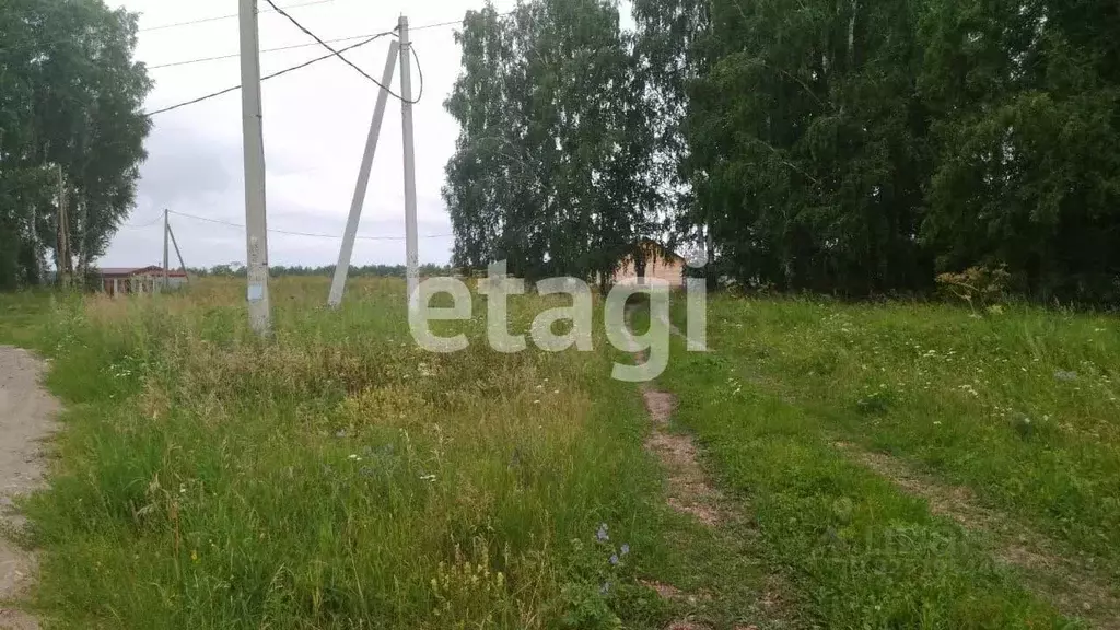 Участок в Красноярский край, Емельяновский муниципальный округ, пос. ... - Фото 1