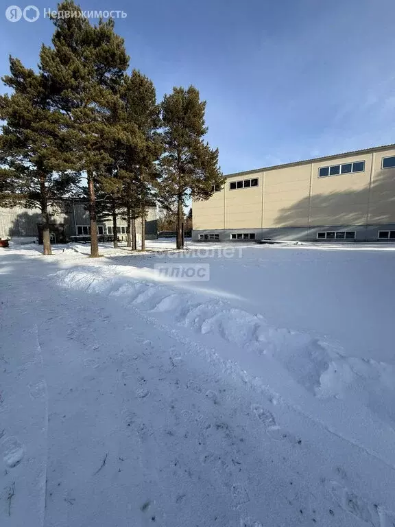 Производственное помещение (2600 м) - Фото 1