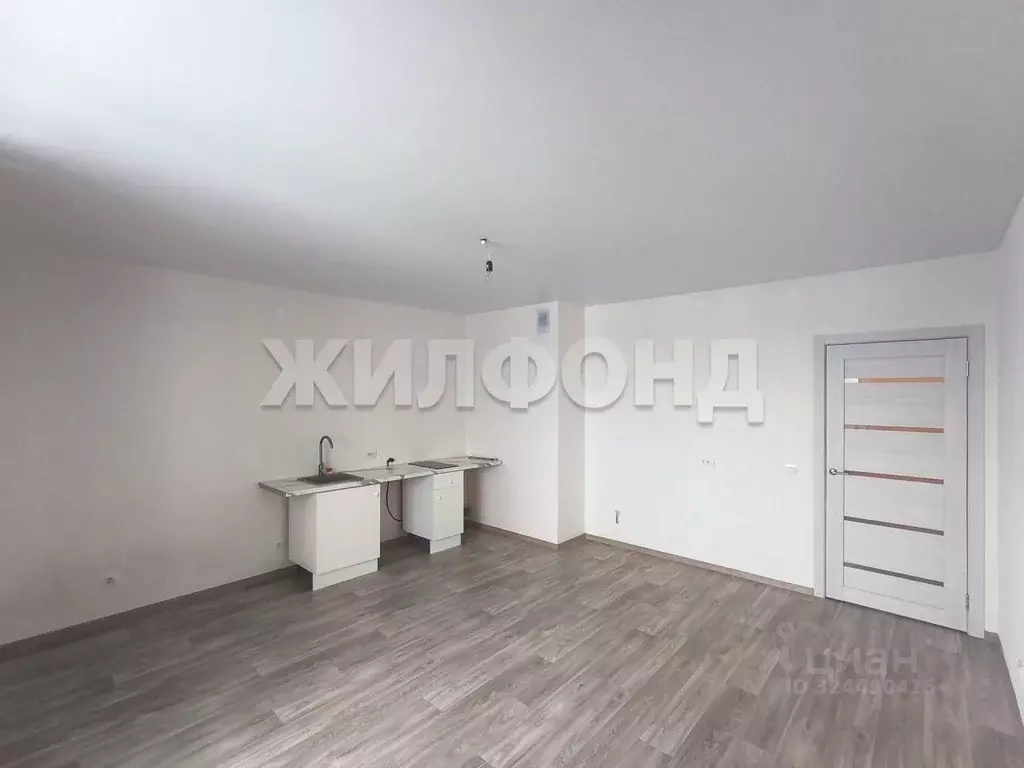 1-к кв. Новосибирская область, Новосибирск ул. Бородина, 54 (30.5 м) - Фото 1