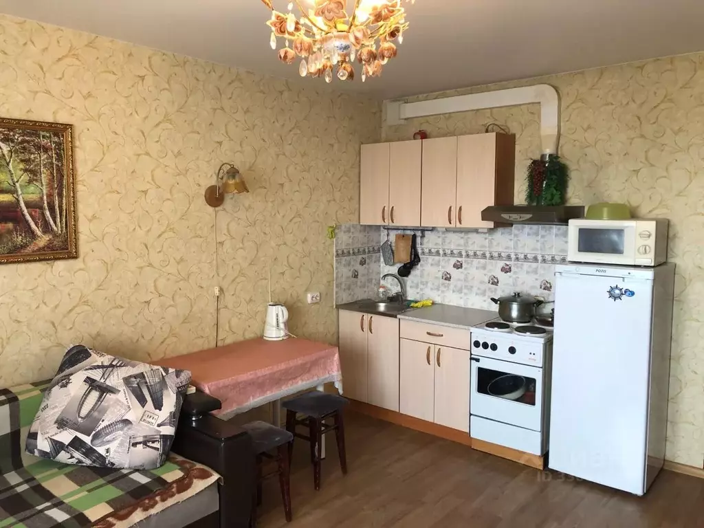 Студия Новосибирская область, Новосибирск Рябиновая ул., 10/1 (30.0 м) - Фото 1