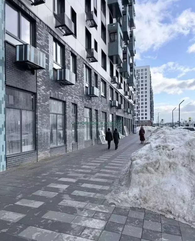 Помещение свободного назначения в Московская область, Домодедово ... - Фото 2
