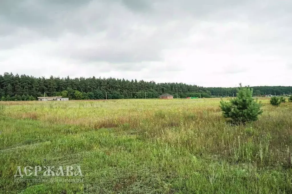 Участок в Белгородская область, Старооскольский городской округ, с. ... - Фото 0