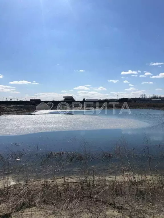 Участок в Тюменская область, Нижнетавдинский район, Геолог-2 СНТ  (8.0 ... - Фото 1