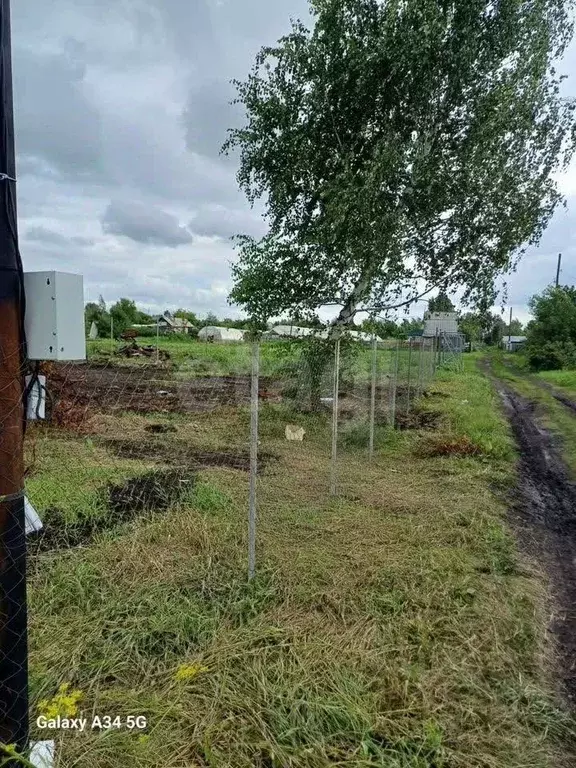 Участок в Алтайский край, Первомайский район, Феникс СНТ ул. 8-я, 72 ... - Фото 1