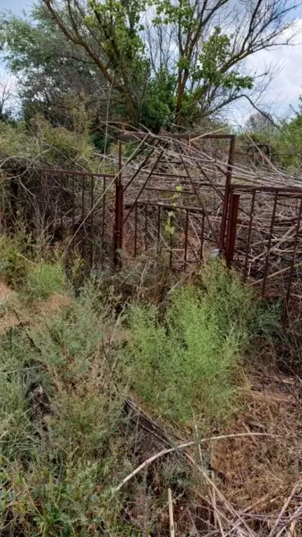 Участок в Астраханская область, Камызяк Южное СНТ, 322 (6.05 сот.) - Фото 1