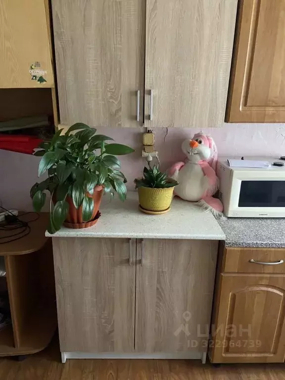 Комната Новгородская область, Великий Новгород ул. Германа, 28 (12.0 ... - Фото 2