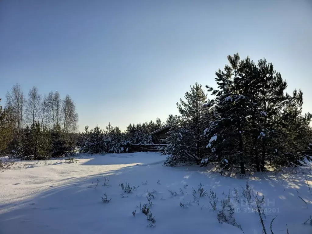 Участок в Татарстан, Казань Лесные Холмы жилмассив,  (10.59 сот.) - Фото 1