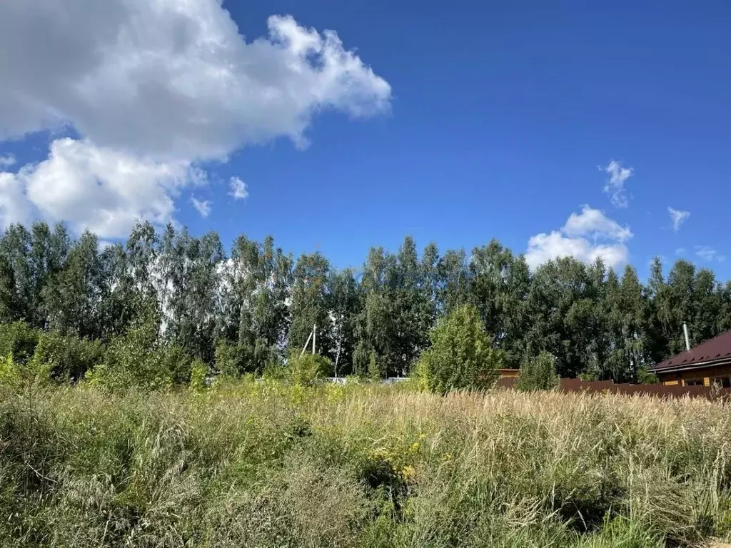 Участок в Нижегородская область, Богородский муниципальный округ, д. ... - Фото 0