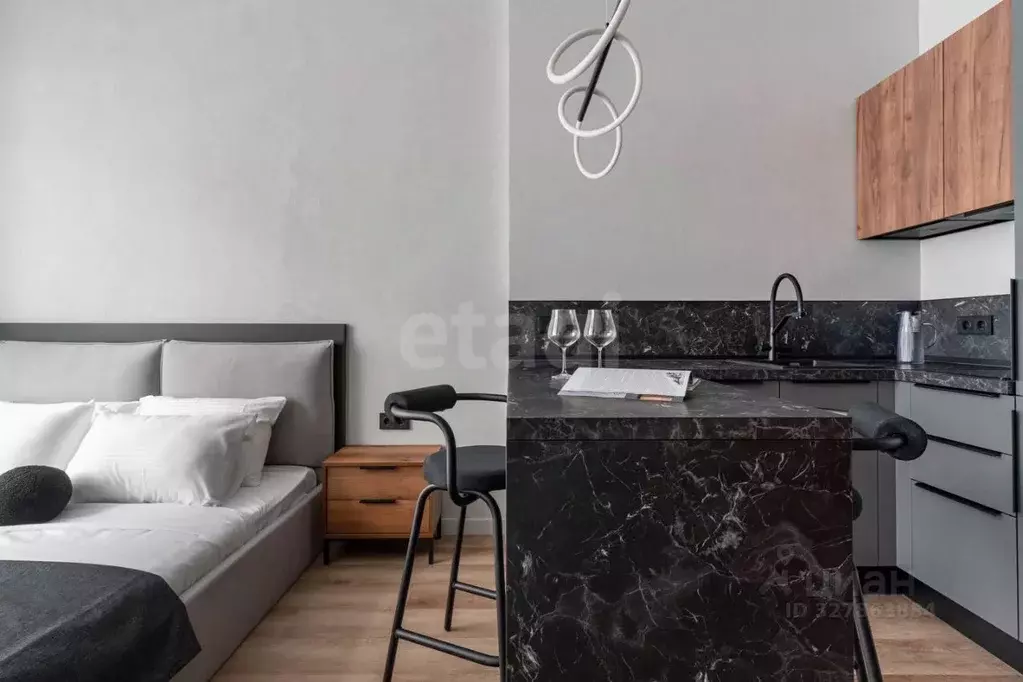 Студия Санкт-Петербург Ремесленная ул., 15 (22.4 м) - Фото 1