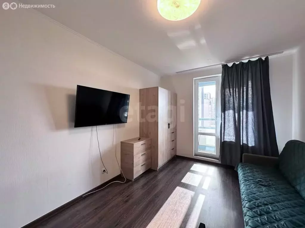 Квартира-студия: Санкт-Петербург, Арцеуловская аллея, 21 (24.3 м) - Фото 0