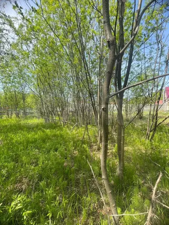 Дом 40 м на участке 6 сот. - Фото 0
