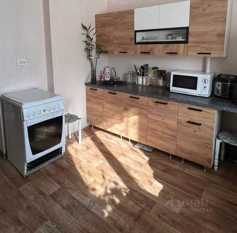 Студия Иркутская область, Шелехов 3-й мкр, 14А (25.0 м) - Фото 1