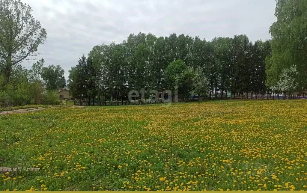 Участок в Башкортостан, Гафурийский район, Красноусольский сельсовет, ... - Фото 0