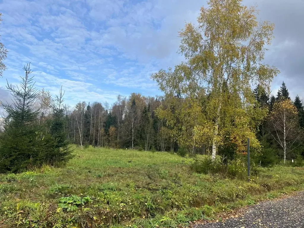 Участок в Московская область, Солнечногорск городской округ, д. ... - Фото 1