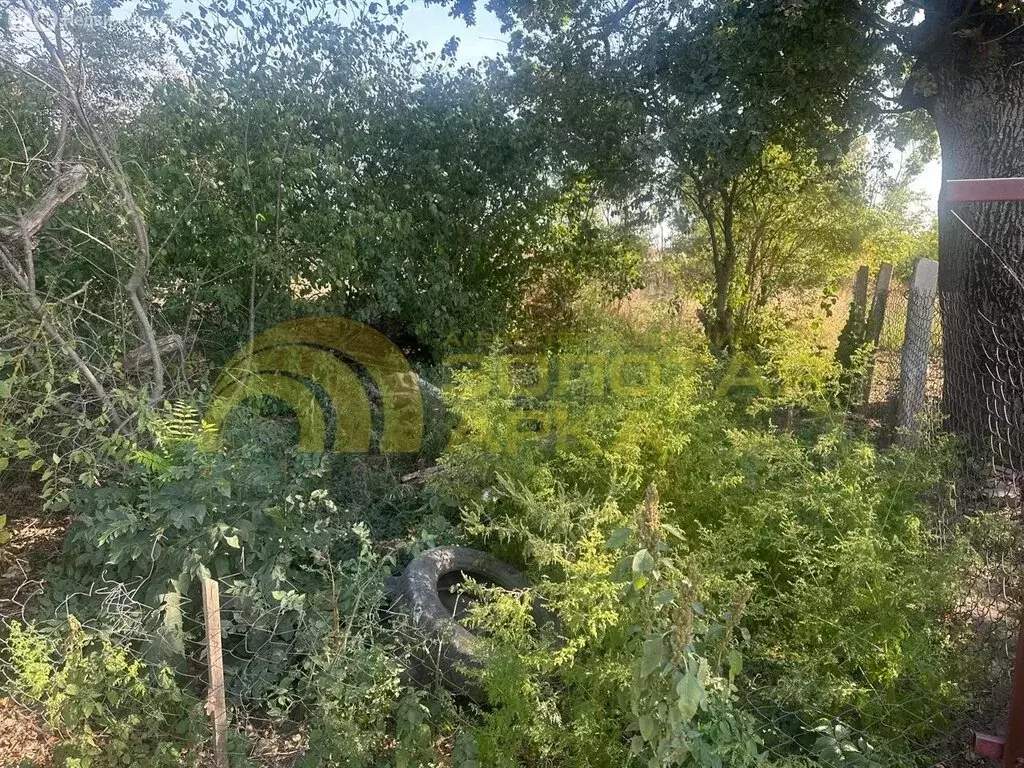 Участок в Полтавская, Огородная улица, 30 (13 м) - Фото 1